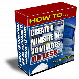 Product picture *NEW!* Website Design 30 Minute Minisite