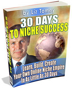 Product picture *NEW!* IM 30 Days To Niche Success 