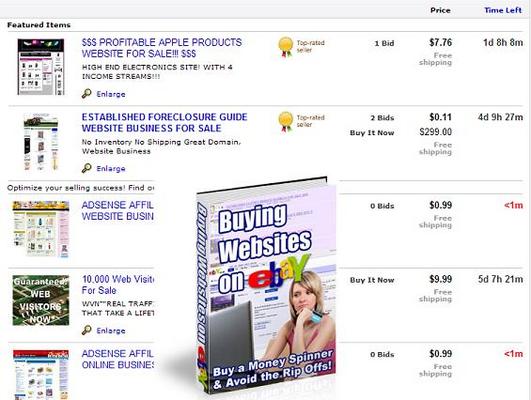 Product picture *NEW!* Website Flipping Guide - Buying Websites On Ebay