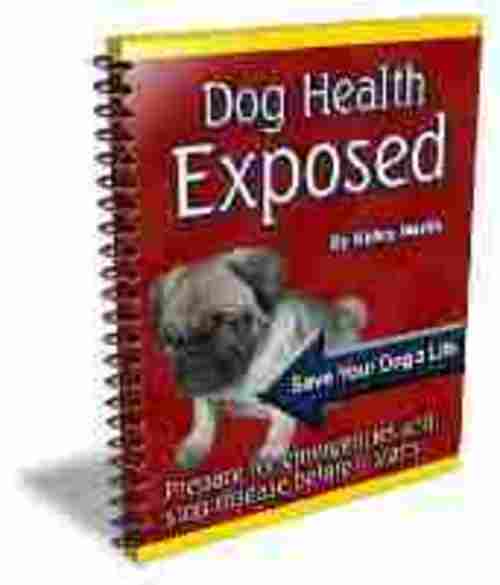 Product picture *HOT!* Dog Health Exposed