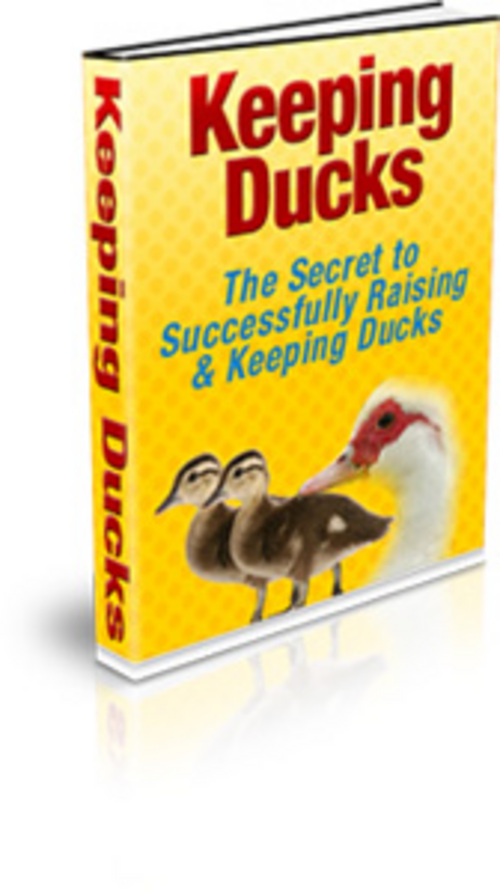 Product picture *HOT!* Keeping Ducks