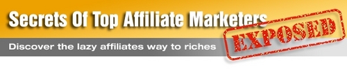 Product picture *NEW!* The Secrets Of Top Affiliate Marketers